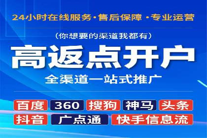 某电商企业如何通过百度竞价广告提升销售额